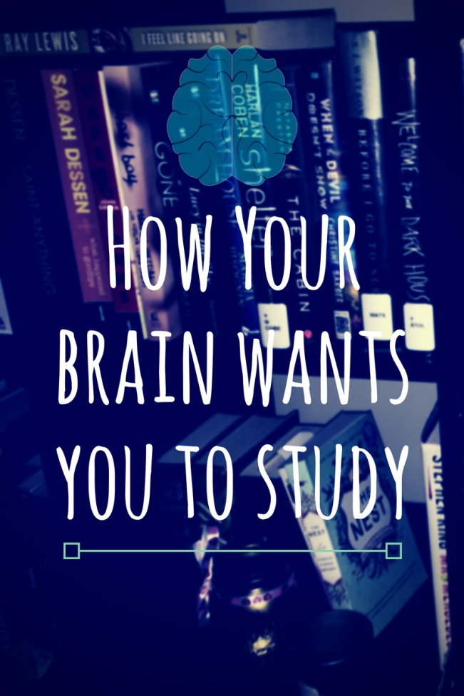 How Your brain wants you to study